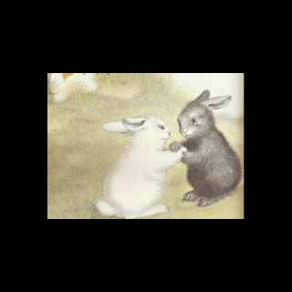 【睡觉小故事】小白兔跟小灰兔的故事