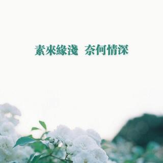 心若相知，无言也默契