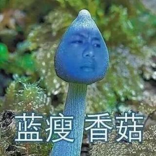 《霰》蓝瘦不香菇