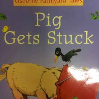 Pig gets stuck