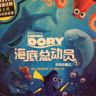 Finding DORY 1