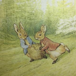 托德先生的故事（二）——小兔彼得和他的朋友们