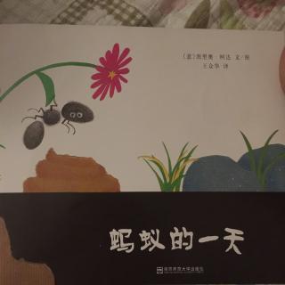 蚂蚁🐜的一天