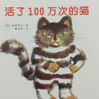 活了100万次的猫