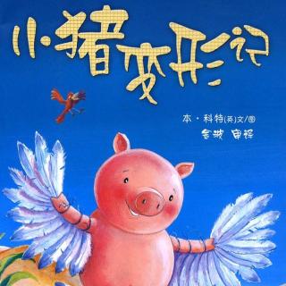 🐷🐷小猪变形记🐷🐷