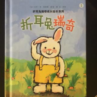 折耳朵瑞奇