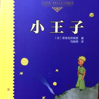 《小王子》27