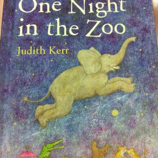 one night in the zoo