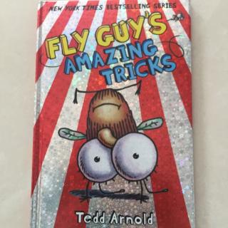 Fly guy's amazing tricks 2016.10.19