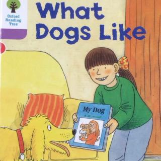 What dogs like-by teacher Moli