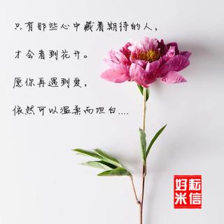 听相声学小曲儿