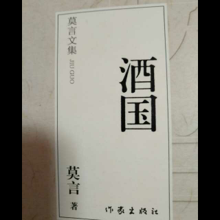 莫言《酒国》9