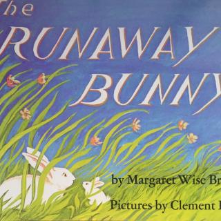 7 The runnawy bunny