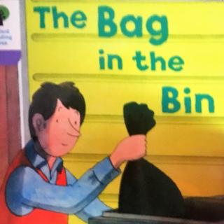 The bag in the bin