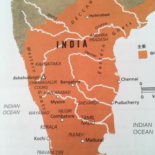 印度（India)咖啡