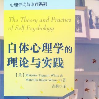 《自体心理学的理论与实践》第十章.心理治疗的欢乐（下）完结