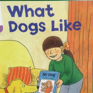 What dogs like-by Dora