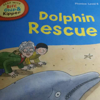 Dolphin Rescue (L5)