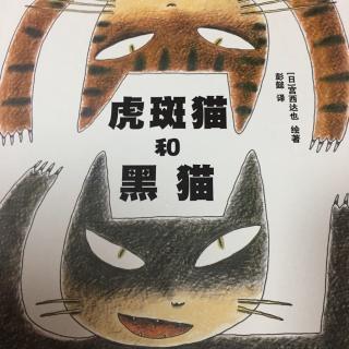 《虎斑猫🐱和黑猫》