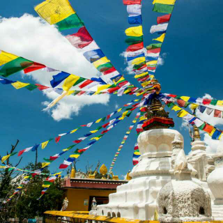 我在西藏等你，你若不来，我便不老。
