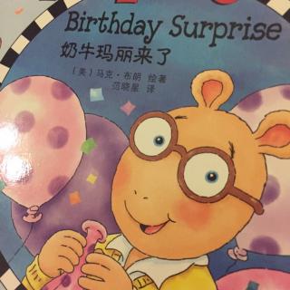 亚瑟小子系列-arthur's birthday surprise
