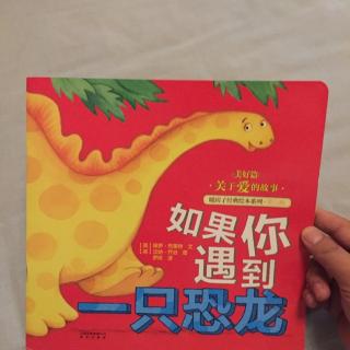 如果你遇到一只恐龙