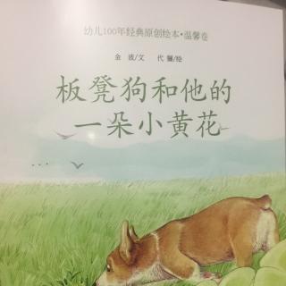 板凳狗和他的一朵小黄花