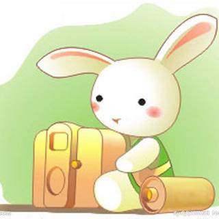 小白兔的爱情故事