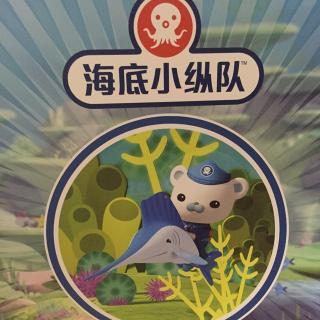 海底小纵队与敏捷的旗鱼