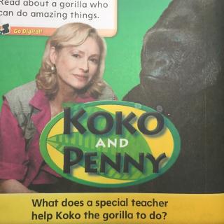 Koko  and  Penny
