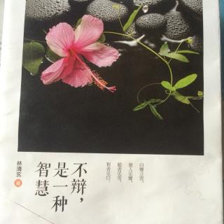 一个茶壶一个杯---《不辩，是一种智慧》林清玄