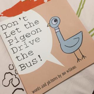 Don't Let the Pigeon Drive the Bus