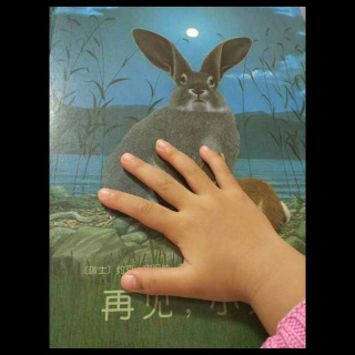 20161021睡前故事《再见，小兔子》