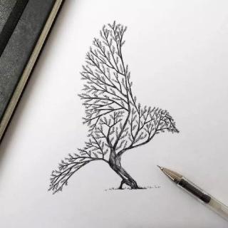 鸟是树的花朵（二）