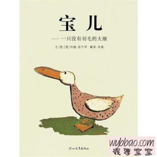 422.宝儿🐦一只没有羽毛的大雁