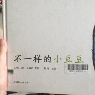 不一样的小豆豆