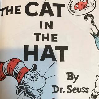 the cat in the hat