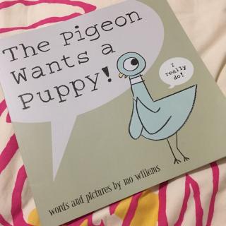 The Pigeon Wants a Puppy！（嘟嘟版）