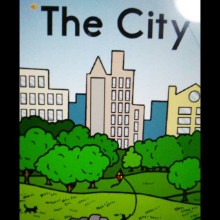 The city