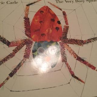 the very  busy spider