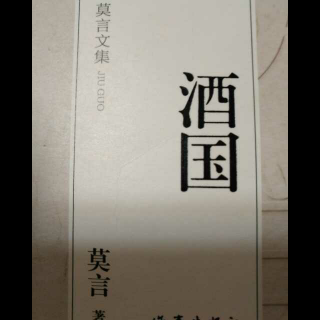 莫言《酒国》10