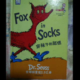 Fox in Socks （—）