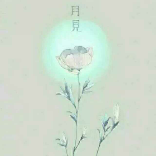 〖第二十九期〗词，诗，过去——船长