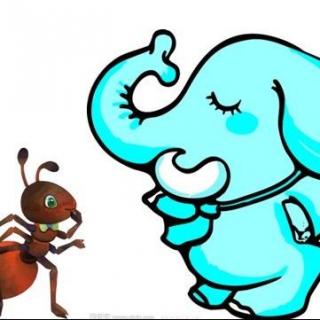 蚂蚁和大象