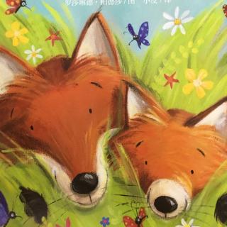 小狐狸的新家