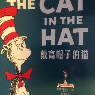 The cat in a hat