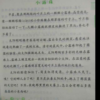 小露珠