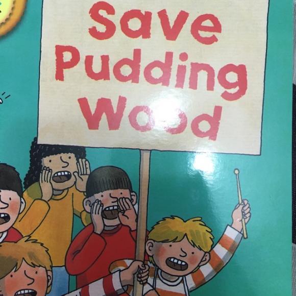 oxford reading tree 6-save pudding wood