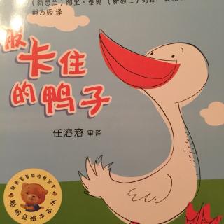 聪明豆绘本系列（被卡住的鸭子）