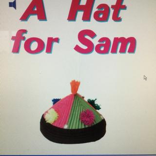 《A Hat for Sam》